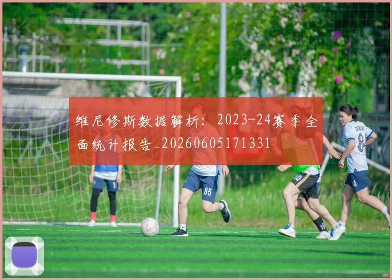 维尼修斯数据解析：2023-24赛季全面统计报告_20260605171331